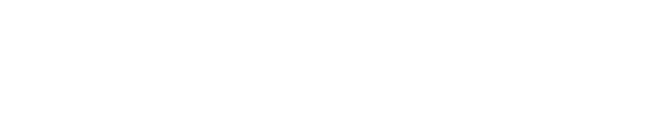 n1yazılım